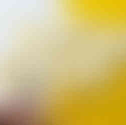 Yellow and white daisy card