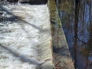 Great Meadow Stream Dam