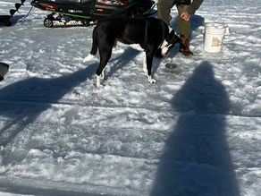             North Pond Ice Fishing Pike Derby