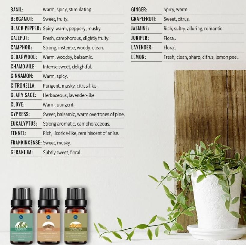 Thumbnail: Geranium Aromatherapy – 100% Pure Essential Oils – (10 Ml) by Lagunamoon