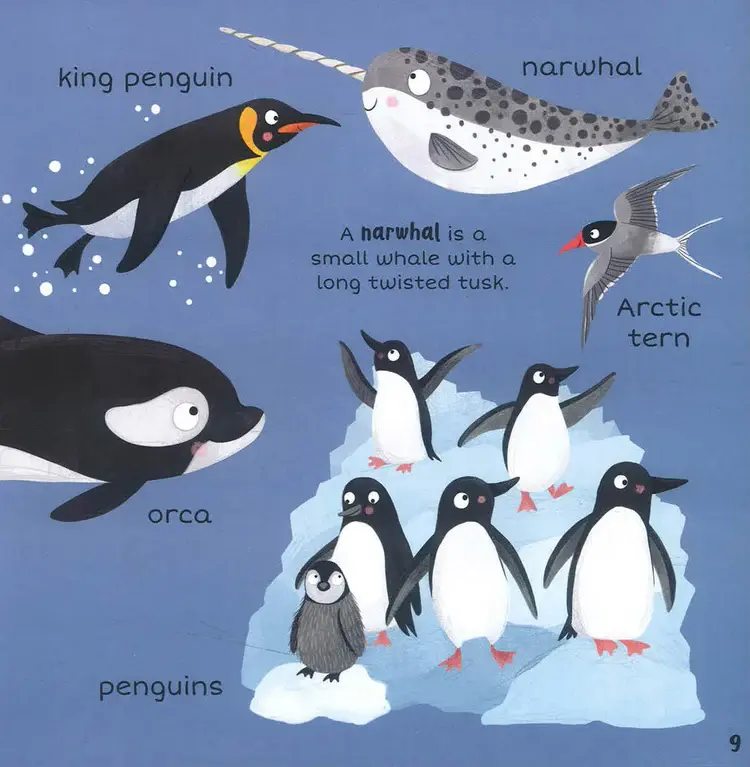 Thumbnail: 100+ First Words In The Sea by Miles Kelly