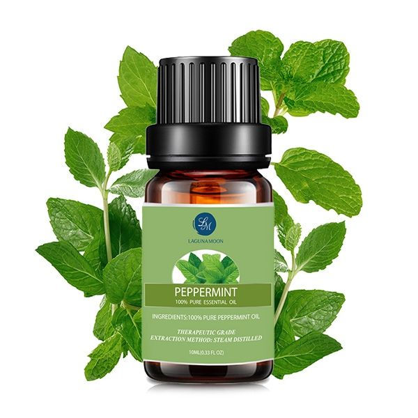 Thumbnail: Peppermint Aromatherapy 100% Essential Oils by (10 Ml) by Lagunamoon