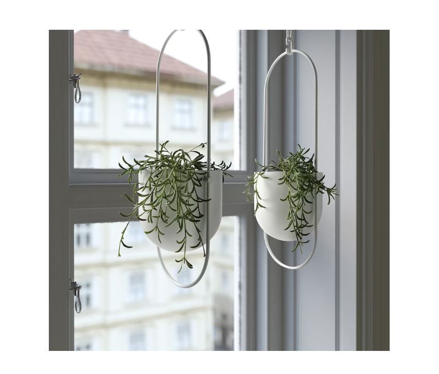 Thumbnail: FEJKA Artificial Potted In/outdoor Plant 9 cm, String of Bananas Hanging by IKEA