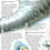 Thumbnail: Knowledge Masters: The Weather