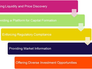 The Role of Stock Exchanges