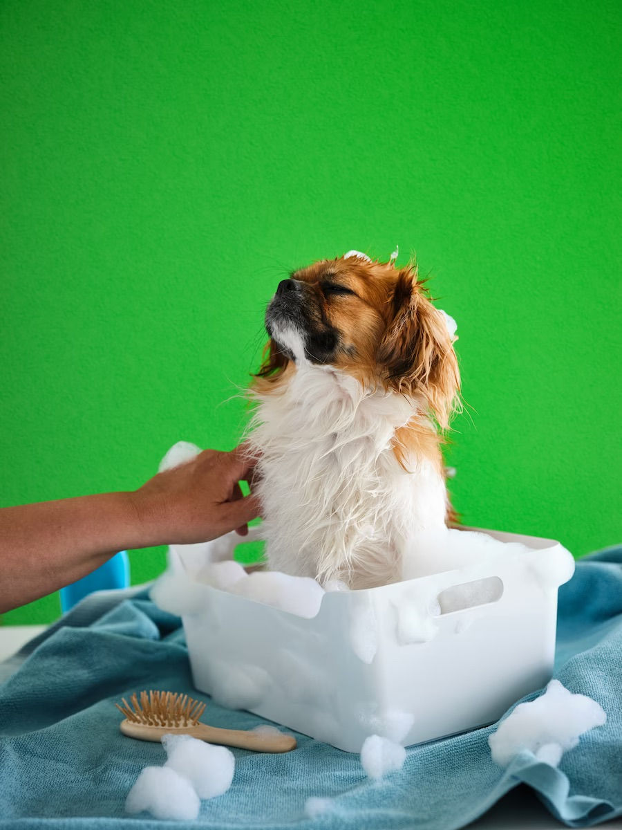 Thumbnail: VARIERA Organiser Box 24x17 cm, White by IKEA