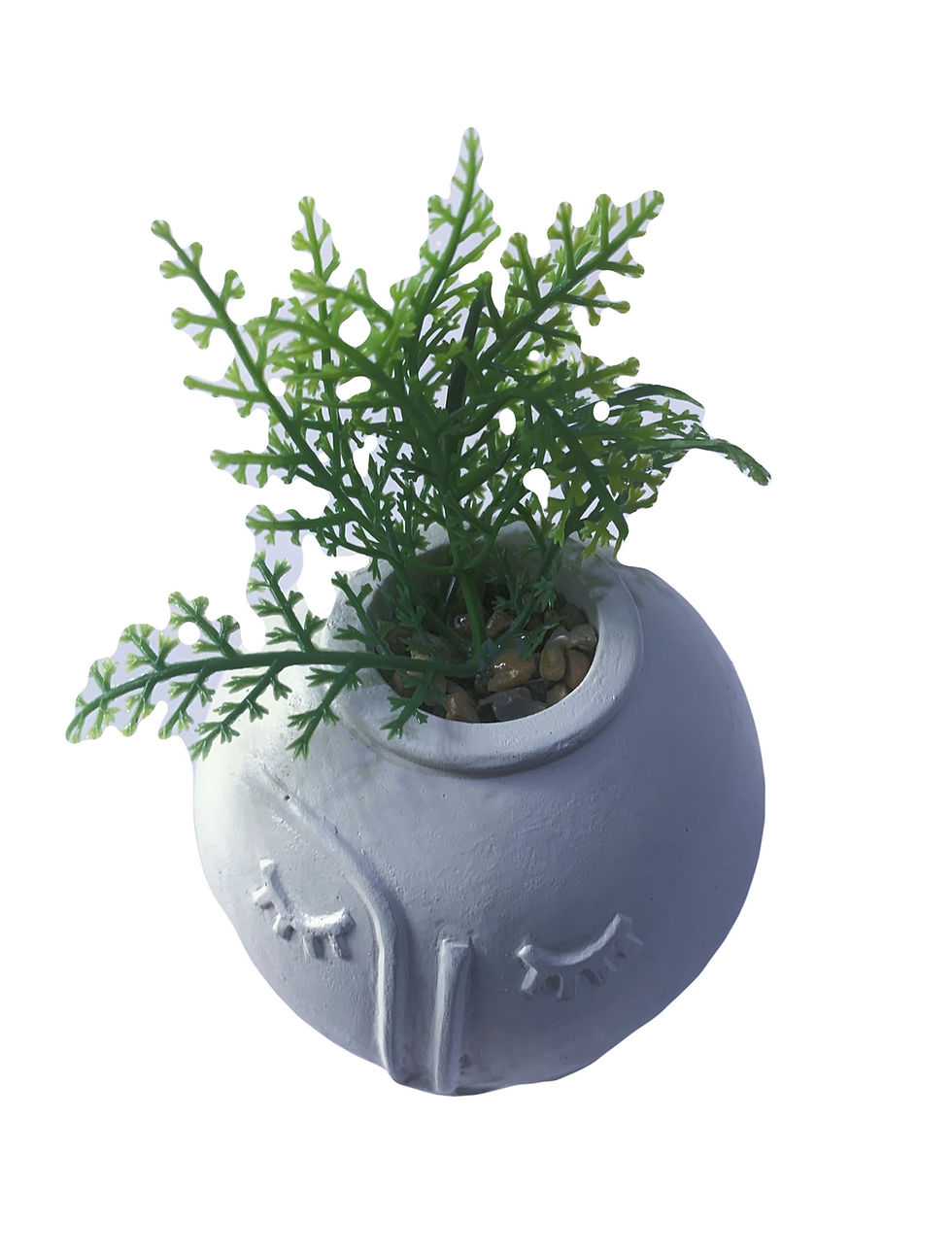 Thumbnail: Pep & Co Artificial Succulent Pot with Face, White