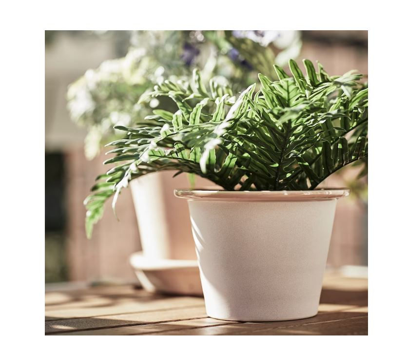 Thumbnail: FEJKA Artificial Potted plant, In/outdoor Whitley Giant 9 cm, Green by IKEA