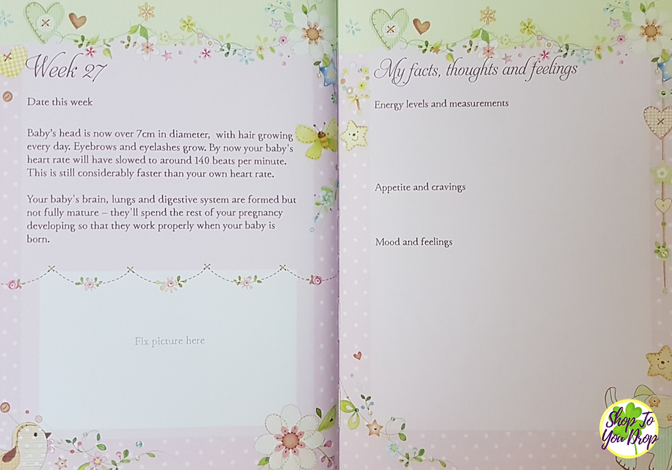 Thumbnail: Baby Bump To Baby's 1st Birthday Journal