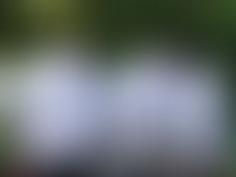 WE ARE ALL IN THIS TOGETHER