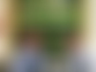 CYS Vertical Gardens