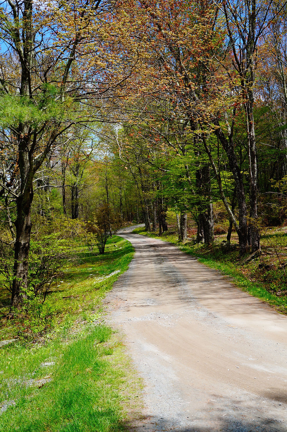 Forestburgh, NY