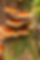 0-5_edited.jpg