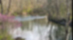 River - Spring photo.jpg