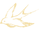 Untitled%20design%20(5)_edited.png