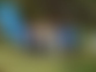 第38回県民総合スポーツ大会「家族釣りの祭典2025」