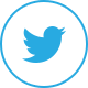 Rochester, NY Twitter Management