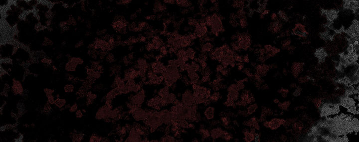 background.jpg