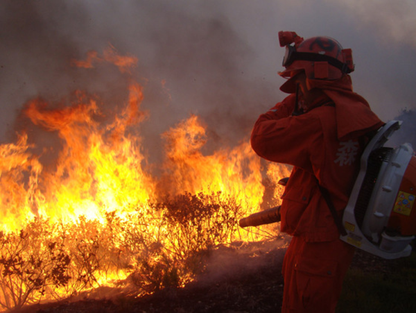 Emergency communications for Chinese fire and rescue teams