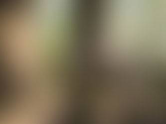 Elbit Systems awarded $65 million follow-on contract to supply Soldier Systems to the Armed Forces o