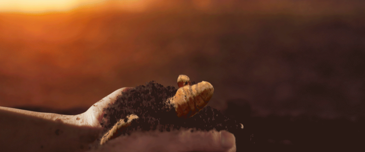 Natural.gif