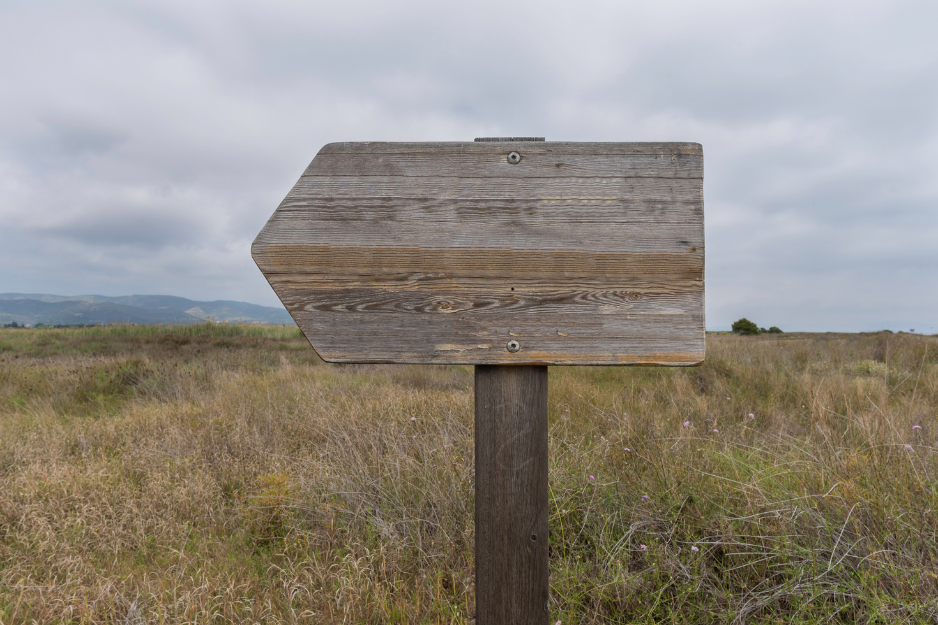 When You Ask for a Sign and It’s Quiet