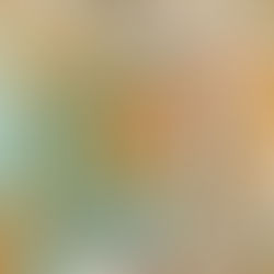 2026 Exhibitions and Events