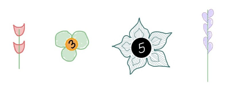Image of four flowers representing primes 2, 3, 5, and 7