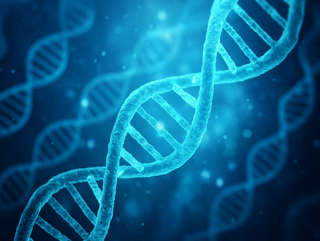 Verändert sich deine DNA?