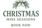 ChristmasMiniLogo.png