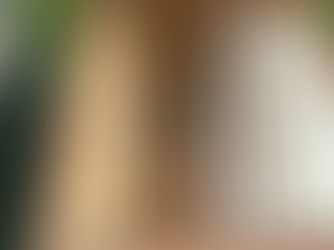 Adam's Apiaries: Making Splits and Doing My Best To Keep Ahead Of The Bees