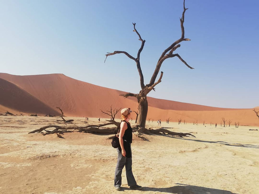 From desert to ocean and through a whole animal kingdom in just one trip!