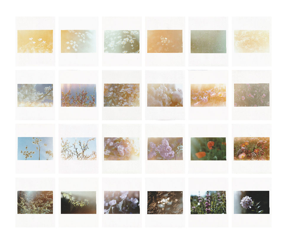 layout for website-05.jpg