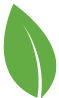 Leaf Image