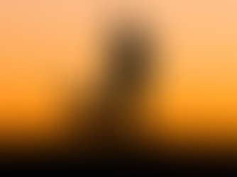 A MI COMPAÑERO DE VIDA