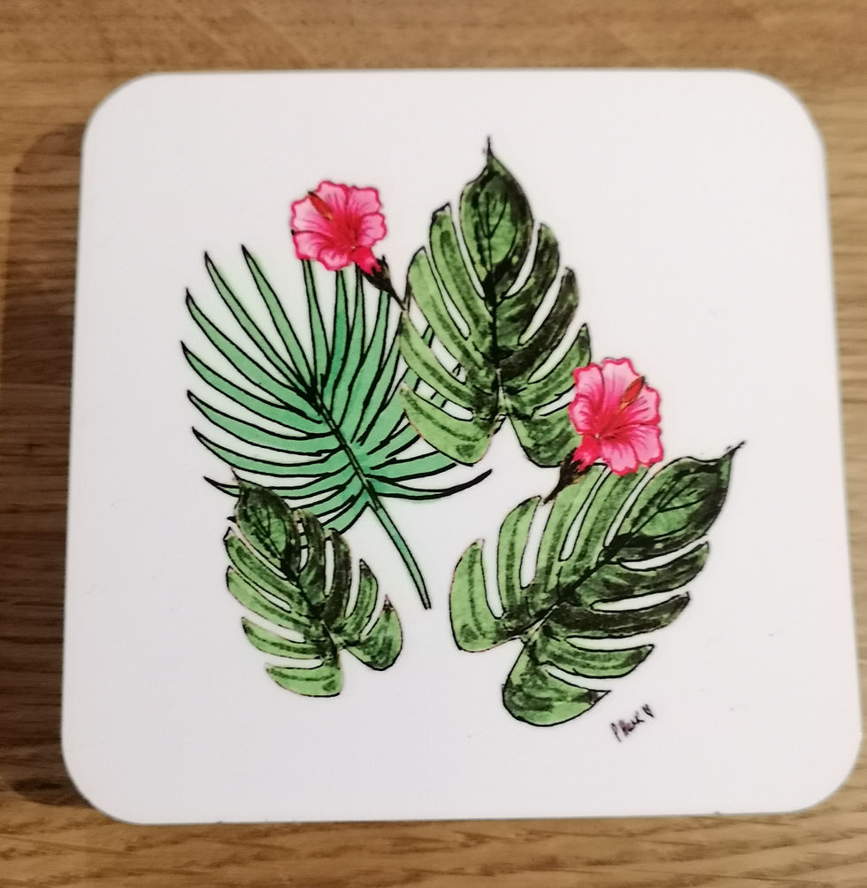 Thumbnail: Tropical range 