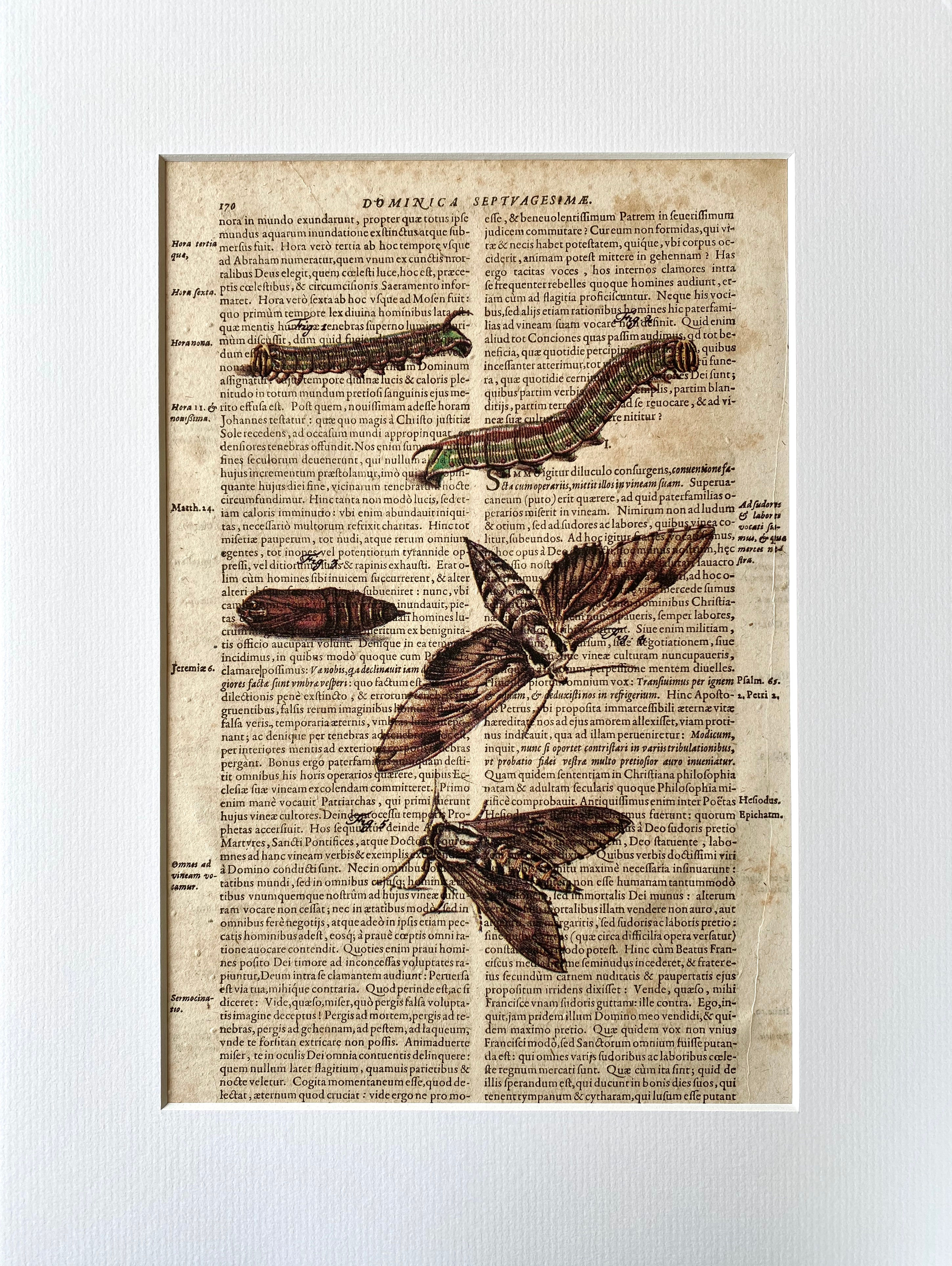 Artist-Print Antique-Décoration with Passepartout