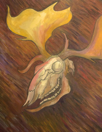 leukos kerunnos (fallow deer skull)