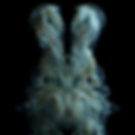 IMG_3008(20200607-020103).png