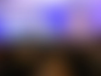 Deputada Liziane Bayer participa de lançamento da pré-candidatura de Mourão ao Senado