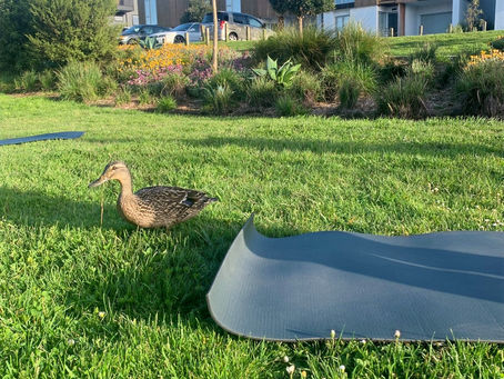 Practicing Yoga Outdoors