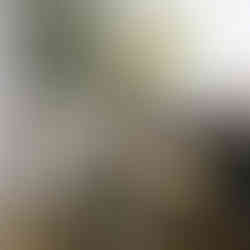 Venue Hire at Kanuka Yoga Space