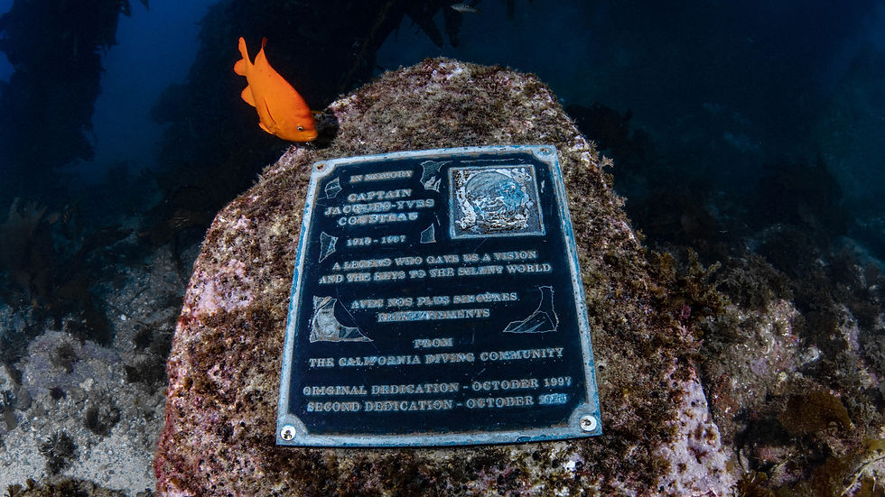 Cousteau plaque in the Casino Dive Park