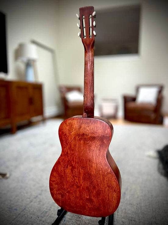 1950's Harmony Stella _Grain Pop_5