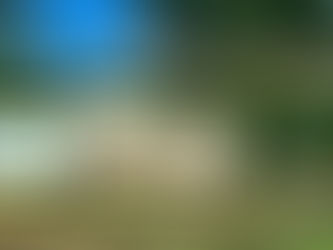 Comb Coffee's Coffee catering set up with a mobile espresso bar