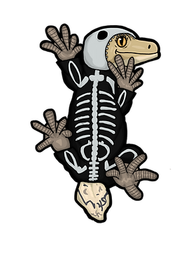 Skeleton Ember.PNG