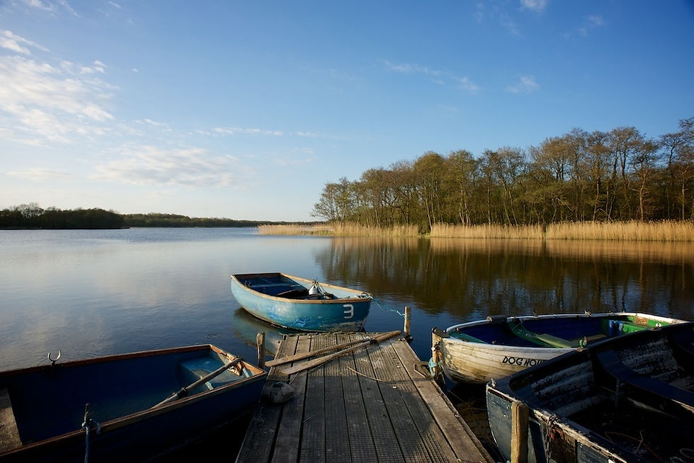 Norfolk Broads near Somerleyton Meadows