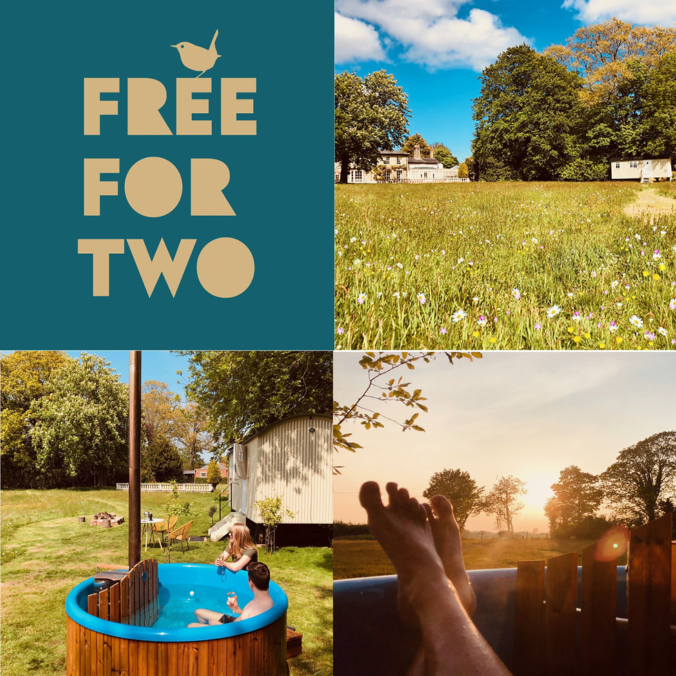 Win a free stay