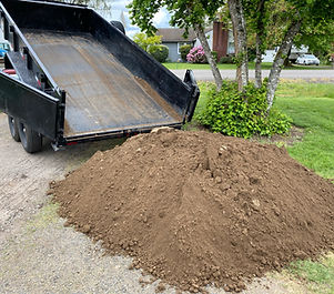 10895 Bethel Dump.jpeg