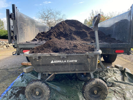 10% off last minute garden prep!